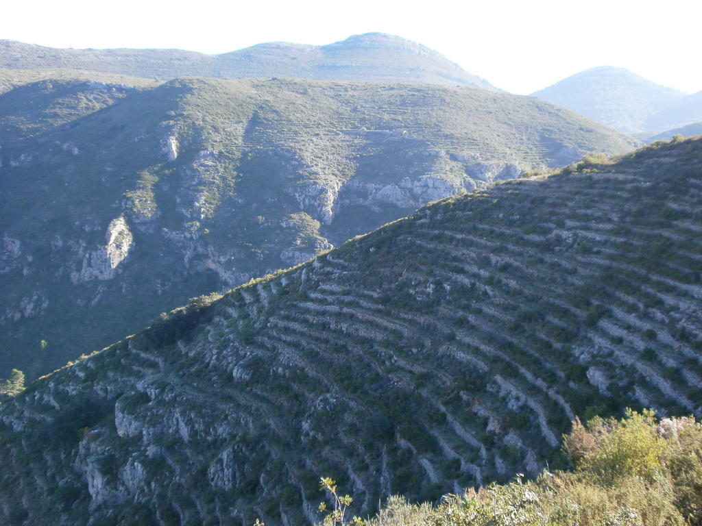 Finca El Corral Lliber Rum bild